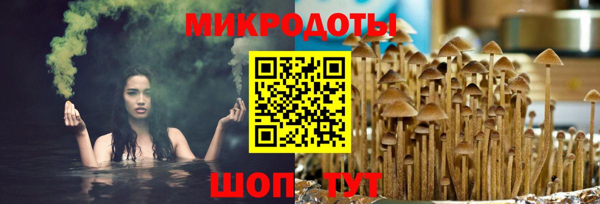 Псилоцибиновые грибы Magic Shrooms Кириши